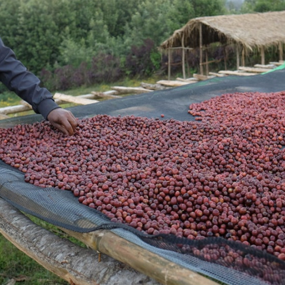 sni_mek_obrazovky_2026_02_12_v_6.19.01